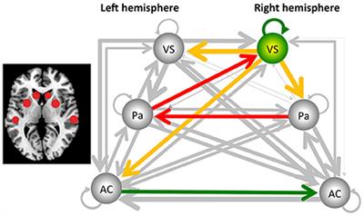 Listening to Rhythmic Music Reduces Connectivity within the Basal Ganglia and the Reward System